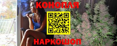 mdpv Кингисепп