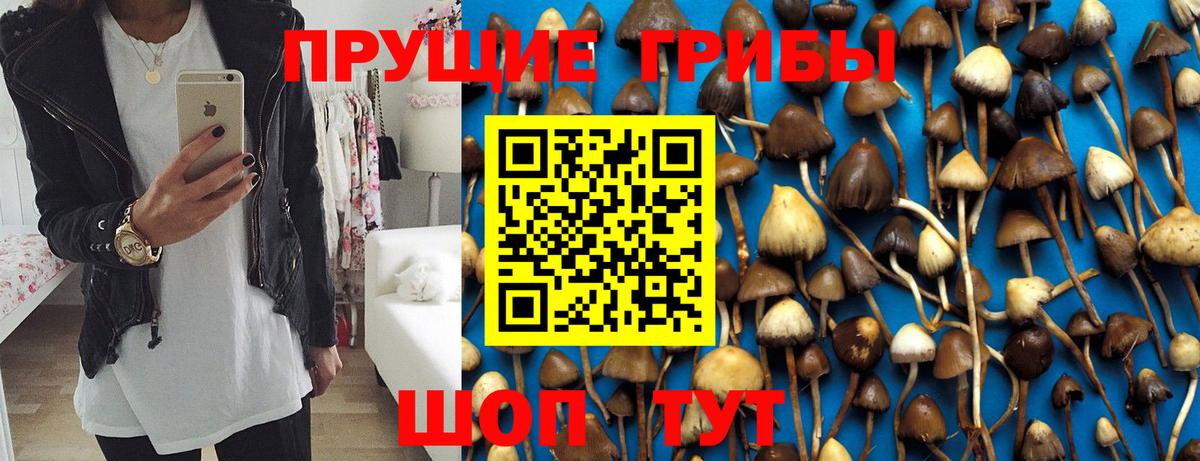 Краснокаменск  Псилоцибиновые грибы мухоморы  Вход с VPN 
